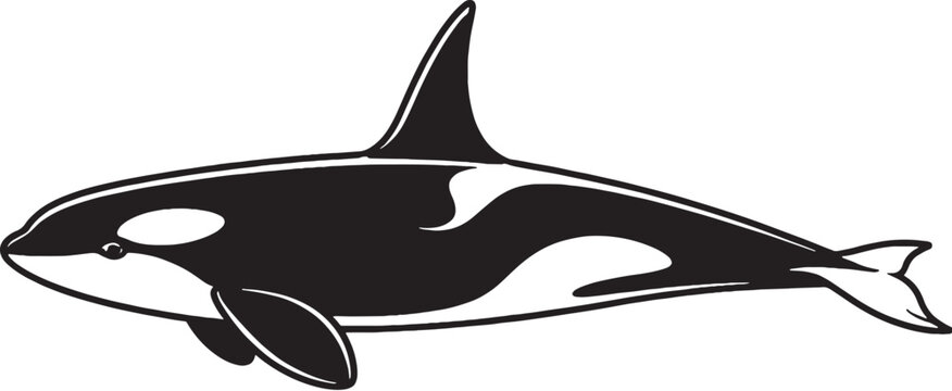 Orca Killer Whale Swimming Black and White Line Art Marine Mammal Vector Illustration