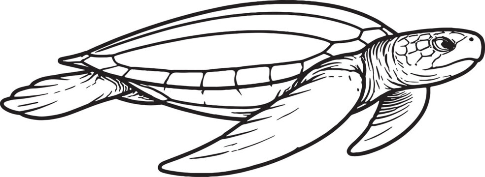 leatherback sea turtle swimming side view line art marine reptile outline illustration black white ocean wildlife vector
