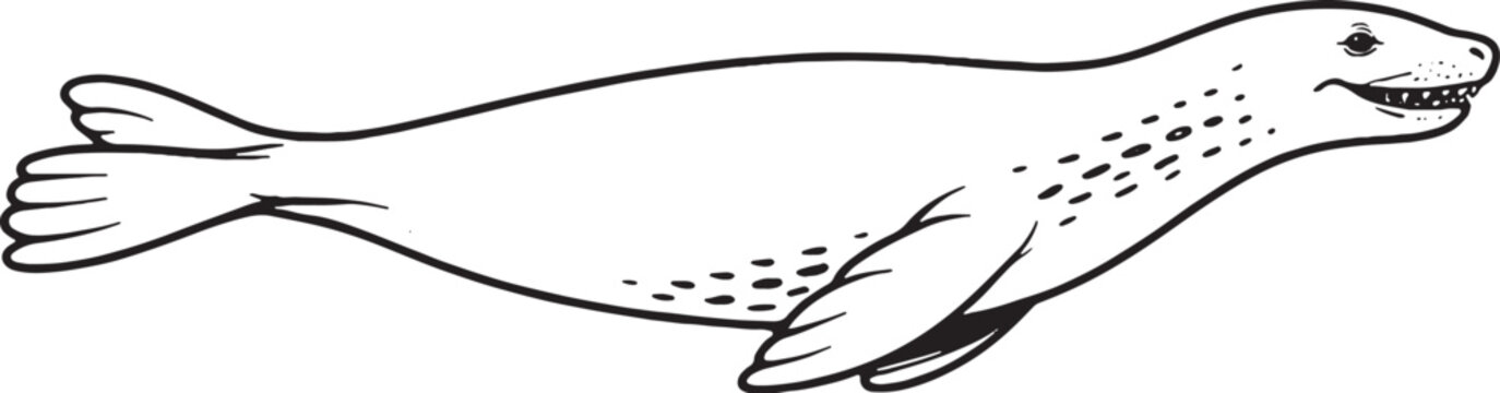Leopard Seal Swimming Side View Black and White Line Art Marine Mammal Vector Illustration