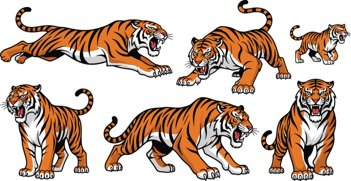 Set of Fierce Cartoon Tiger Characters in Different Action and Walking Poses, Perfect for Wildlife Art, Animal Illustrations, and Dynamic Designs.