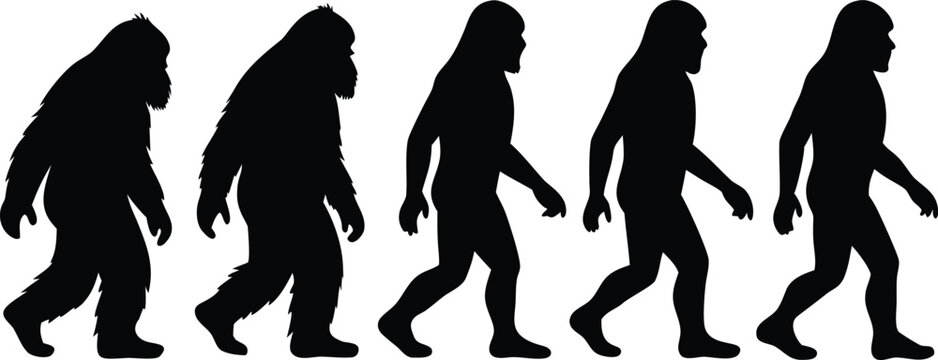 Silhouette evolution of human stages walking primitive ape to modern man on transparent background