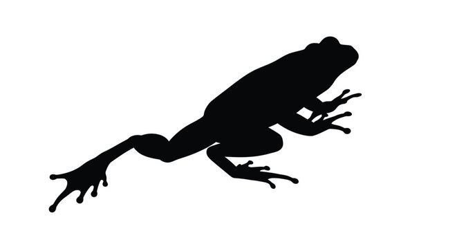 A leaping frog captured in a striking black silhouette