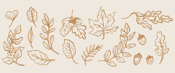 Autumn gold leaves, fall season foliage, maple leaf sketch, botanical autumn pattern, organic garden doodles, seasonal nature illustration, golden leaf elements.  © Geetaroy