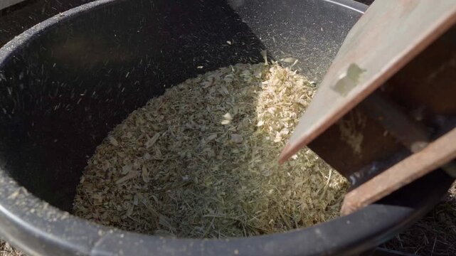 Sawdust flying out of wood chipper during tree branch processing close-up in slow motion