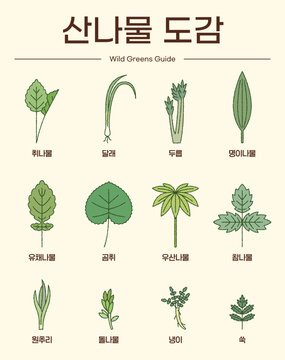 Introduction to various types of wild vegetables with simple illustrations. 