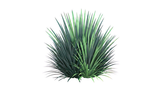 Lush Green Bush with Sharp Leaves