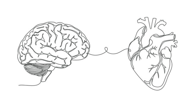Brain and heart connected, one line drawing, emotion and logic