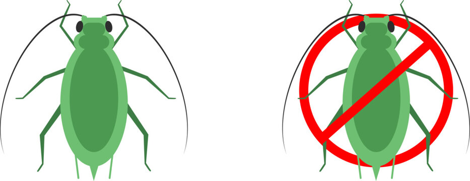 Set of aphid insects vector illustration isolated on white background. Agricultural pest, plant lice collection, green bug icons for farming, gardening, biology, infestation concept.