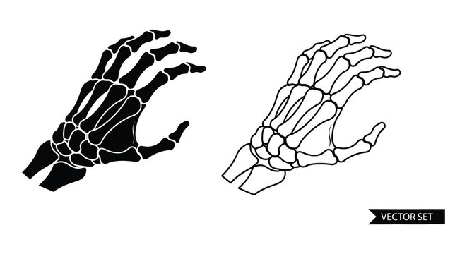 Two skeletal hands reaching detailed bone structure black and white illustration silhouette