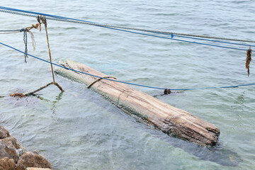 Fototapeta premium large wooden log floats in clear seawater, secured by several blue and white nautical ropes