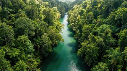 Fotobehang Bos rivier Aerial View of a Lush Tropical Rainforest River.  © R Arts