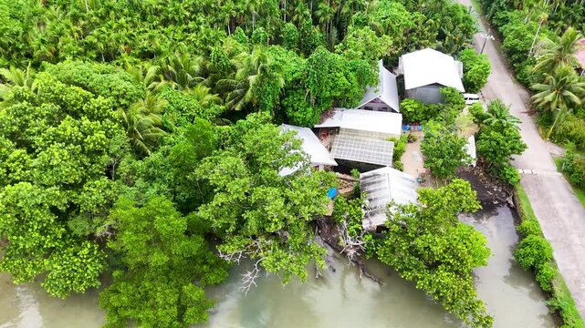 Aerial View of a Coastal Village and Mangrove Forest in Palau