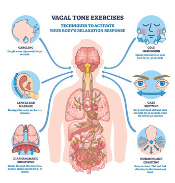 Vagal tone exercises illustrate calming techniques via the vagus nerve, brain, and lungs, with icons for breathing, cold splash, gargling, gaze shift, humming, and ear massage. Outline diagram