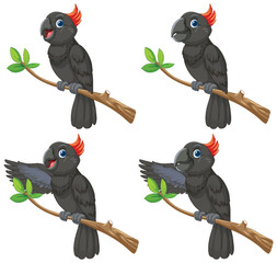 Cartoon Black Cockatoo Set on Branch with Expressions © blueringmedia