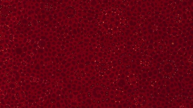 Elegant seamless crimson floral motion pattern with mandala symmetry, subtle sparkle and gentle pulsing, creating a rich organic texture and refined visual depth.