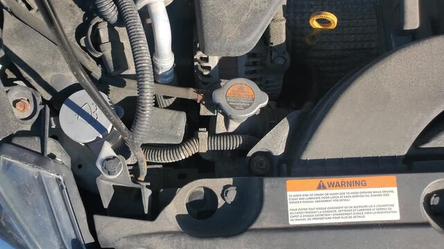 Car engine bay with radiator cap washer reservoir and oil dipstick