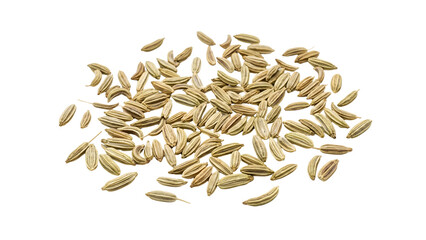 Obraz premium Detailed close-up of Fennel Seeds displayed on a neutral background with even lighting, showcasing their texture and color for culinary or nutritional content