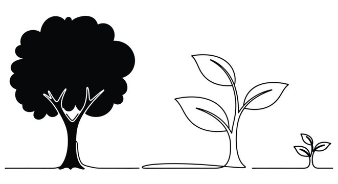 Contrasting trees a full dark tree and a delicate growing sprout