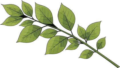 Naklejka premium set of various green leaves branches and foliage collection for botanical designs wedding invitations greeting cards