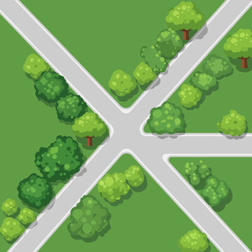 Top view of a green park intersection with trees and bushes, crossroads, aerial view
