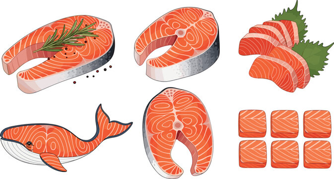 Fresh salmon fish cuts collection with fillet steak slices and seafood pieces vector illustration set