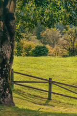Naklejka premium Traditional timber-clad farm barrier in Bohinj valley, Slovenia, with alpine farmland and countryside landscape in background.