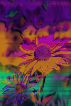 Abstract floral composition with digital distortion and chromatic aberration artifacts. Neon purple and orange flower petals blend into wave warp scanlines with signal corruption effects.