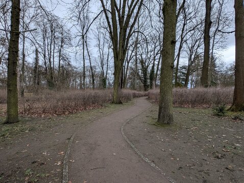 Schlosspark Biesdorf in Berlin during Winter Season
