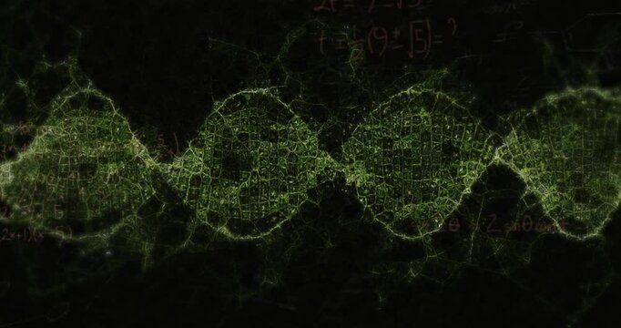 Animation of mathematical equations over green digital wave against black background