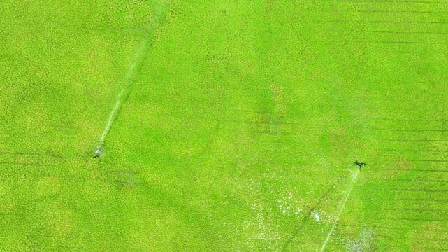 High-angle drone shot of a grassy field being irrigated by a rotating sprinkler, highlighting smart water distribution, sustainable landscaping, and consistent hydration for optimal lawn growth.
