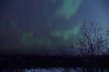 Fototapeta premium Aurora borealis, polar lights with Milky Way stars.