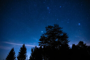 Fototapeta premium Milky Way stars with countryside tree and landscape silhouettes.