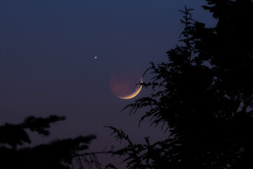 Fototapeta premium Crescent young Moon with stars, planets and rural countryside tree silhouettes.