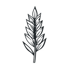 Fototapeta premium Botanical sprig illustration features a simple hand-drawn design with multiple leaves on a central stem, perfect for natural and organic themes.