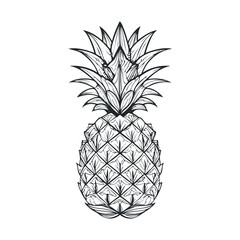 Obraz premium Pineapple illustration featuring intricate line art details captures the essence of tropical fruit in a stylized and decorative artistic drawing.