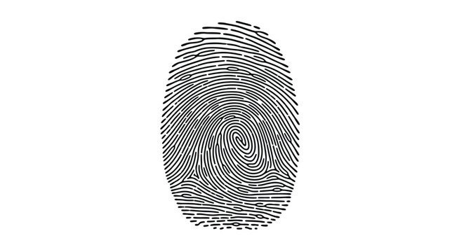 Detailed fingerprint image with swirling ridges a striking black silhouette