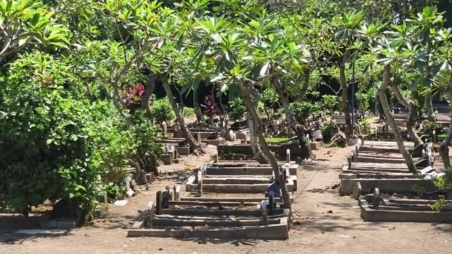 Ancient stone stairs lead through a lush summer garden and forest path toward an old temple nestled under a clear sky