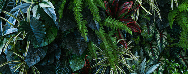 Full Frame of Green Leaves Pattern Background, Nature Lush Foliage Leaf Texture, tropical leaf
