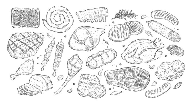 Fresh raw meat collection, sketch vector illustration. Hand drawn food isolated design elements. Pieces of beef steak, ham, pork fillet, lamb chops.