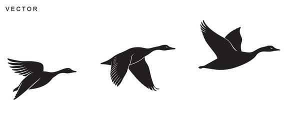 Canadian goose bird flying silhouette vector illustration on a white background © Badman