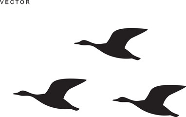Canadian goose bird flying silhouette vector illustration on a white background © Badman
