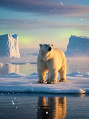 Naklejka premium Majestic polar bear standing on ice with snowflakes and icebergs at sunset