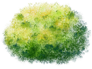Watercolor Green Round Bush Element