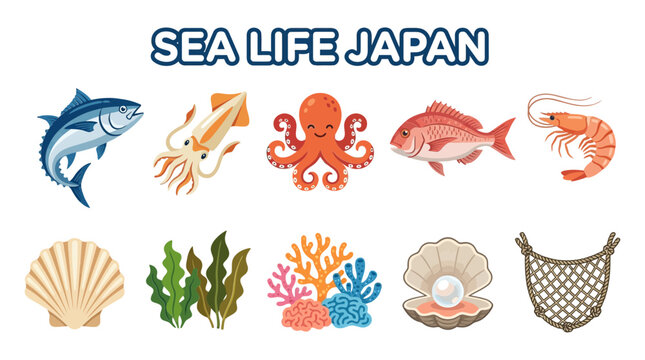 Illustration of Japanese sea life creatures and elements on a white background