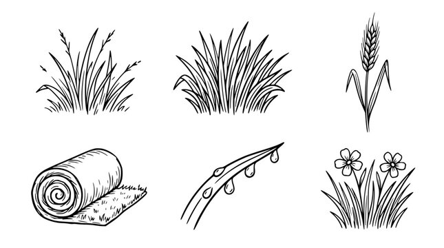 Vector graphic illustration of various grass and flower designs