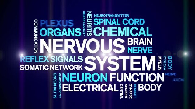 Nervous System animated word cloud-text design animation tag kinetic typography seamless loop.