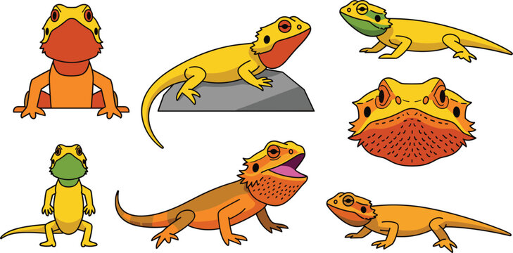 Bearded Dragon Lizard Character Set with Different Poses Standing Crawling Rock Sitting and Head View Flat Cartoon Vector Illustration Collection