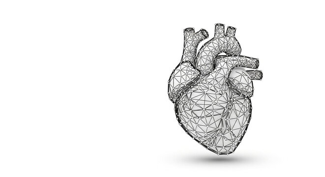Geometric wireframe heart model with polygonal mesh structure on white background