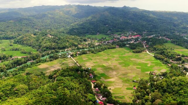High altitude aerial view of the emerald Loboc River cutting through the thick tropical rainforests of Bohol, Philippines. Showcasing the raw natural beauty and diverse island ecosystem