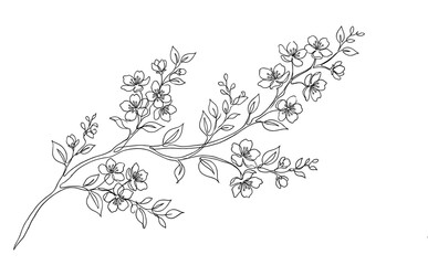 Fototapeta premium Flowering branch continuous line art drawing creates an elegant and minimalist floral design, perfect for spring and nature-themed projects.